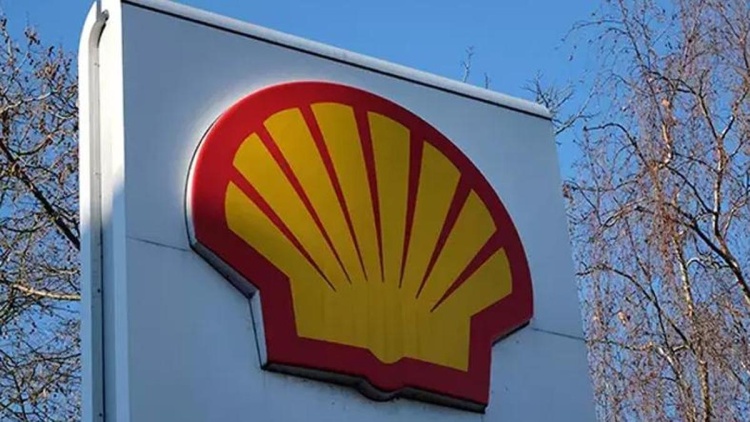 Shell, Singapurlu Pavilion Energy'yi satın alıyor