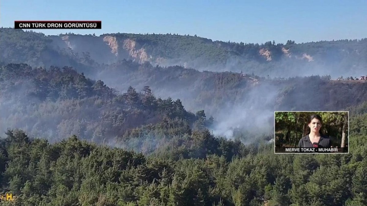 Çanakkale'de orman yangını